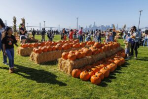 Families exploring a waterfront pumpkin patch display on Treasure Island with hay bales, Bay Bridge views, and the San Francisco skyline in the background.