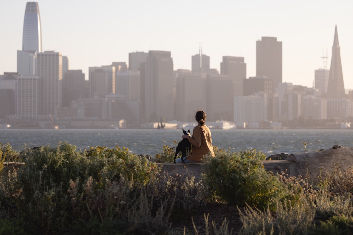 A person sitting on a low wall with a small dog, looking out across the water toward a hazy city skyline.